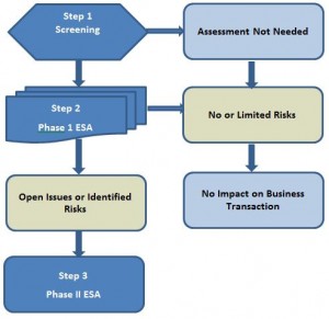 Audit flowchart