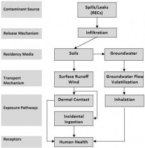 Conceptual Model