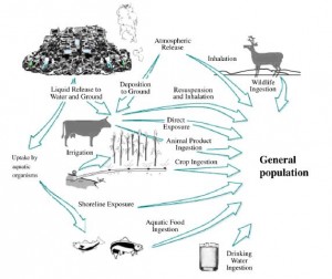 e-waste in ecosystem